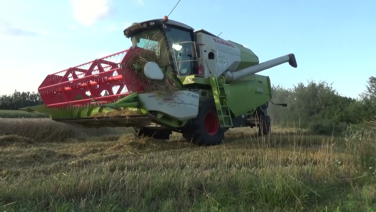 Żniwa 2021 Nasze Kuj-Pom Claas Avero 240 Zetor7245 New Holland t6.125S