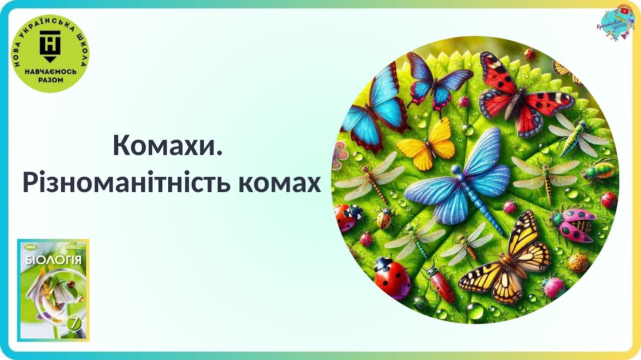 Комахи.  Різноманітність комах