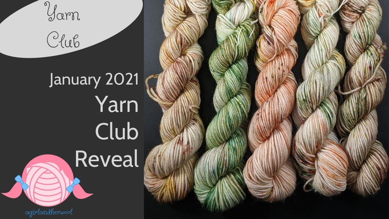 January 2021 Mystery Yarn Club Reveal | Hand Dyed Yarn | Mini Skein Set | agirlandherwool