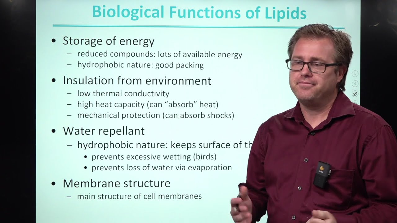 Lipids Intro