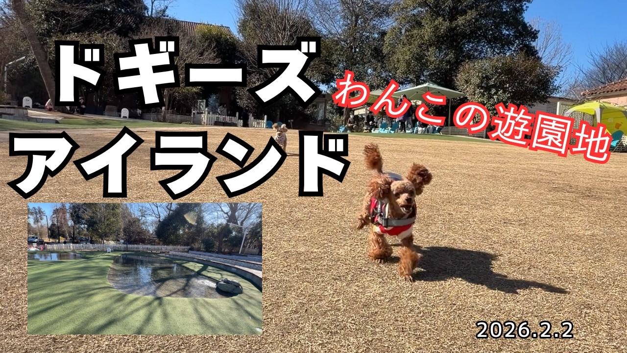 【犬連れ千葉】JCCS 2026 ジャパンキャンピングカーショー 幕張メッセ ～ 小谷流の里ドギーズアイランド　Day1