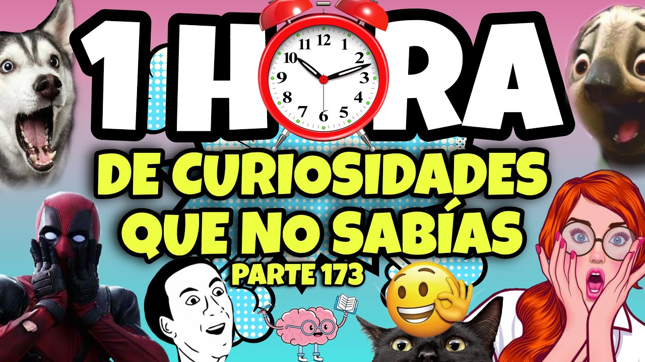 1 HORA DE CURIOSIDADES Y COSAS QUE NO SABIAS  🧠⏰ #173