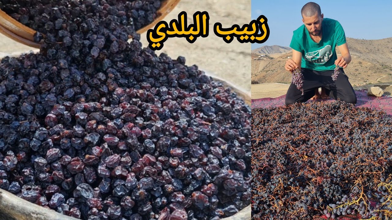طريقة تحضير  زبيب البلدي بطريقة تقليدية في أيت وياغر.. نواحي الحسيمة