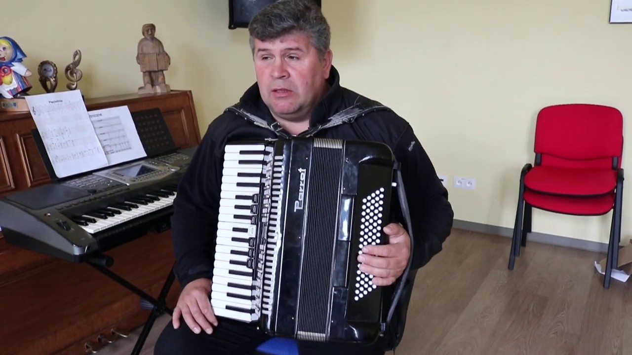 Zajęcia muzyczne - Czym jest akordeon oraz jak jest zbudowany.