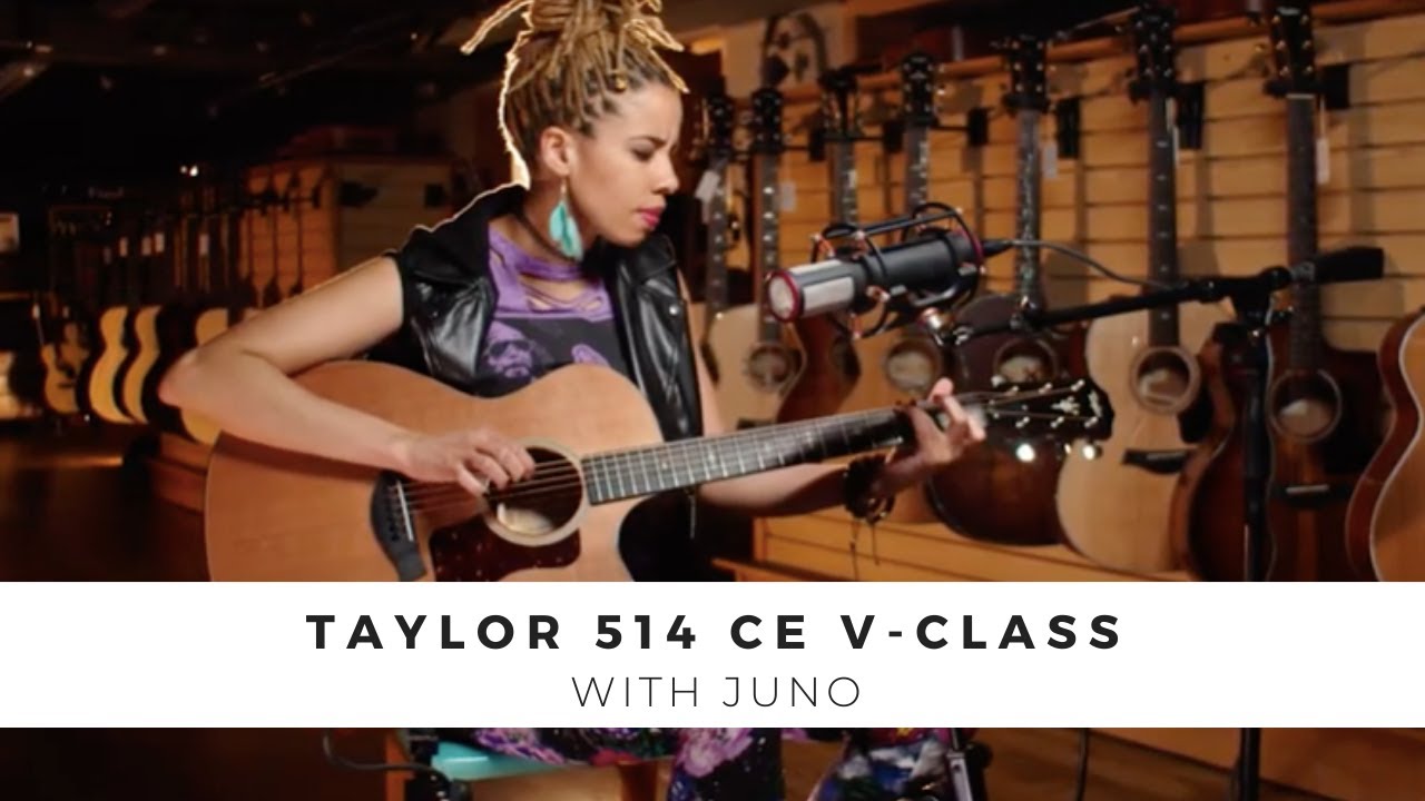Taylor 514ce V-Class with JUNO the Artist | Gruhn Guitars in Nashville