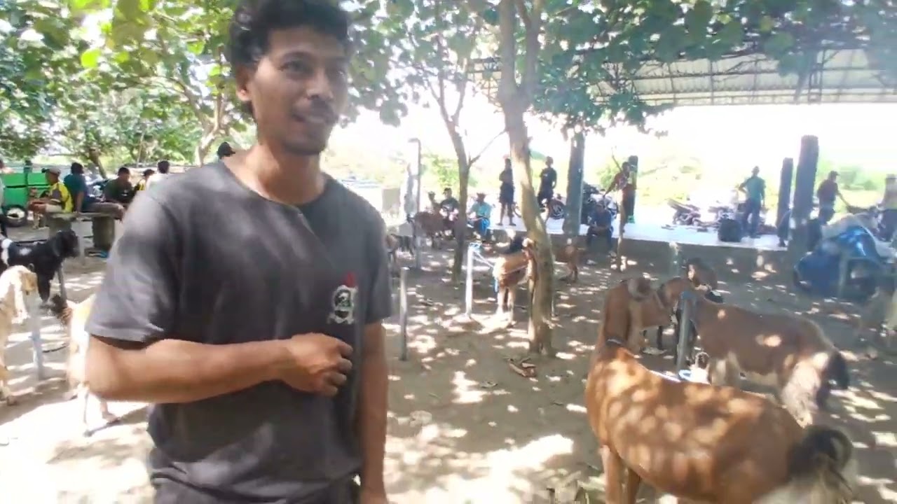 Pasar wage ngunut tulung agung jatim(06 02 2026) jumat wage#