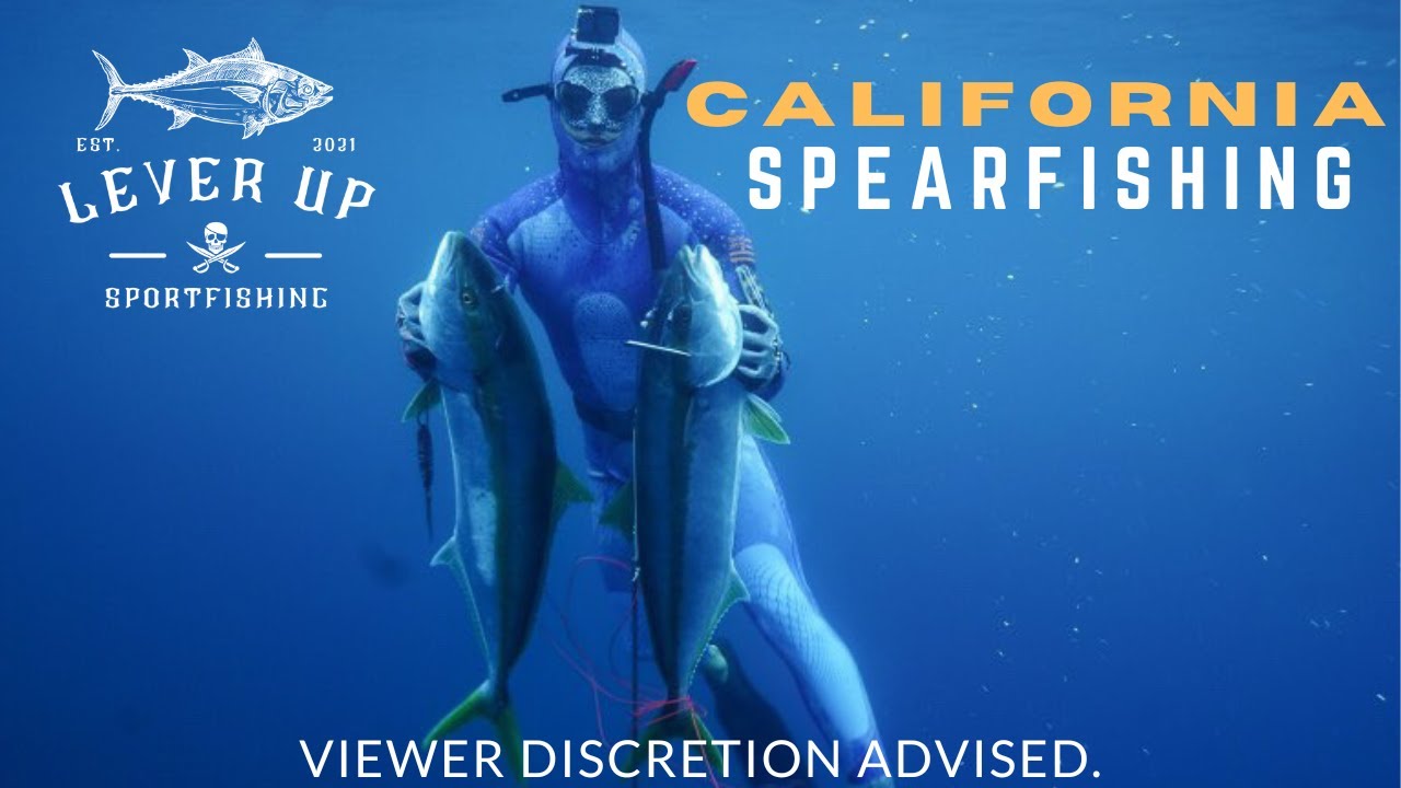 Two Yellowtail in ONE SHOT! | SoCal SPEARFISHING | Bluefin, Yellowtail, & Dorado | San Diego Fishing