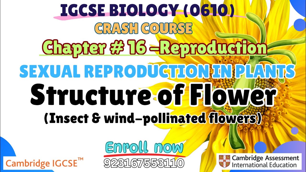 Chapter #16| Sexual Reproduction in Plants #0610biology 