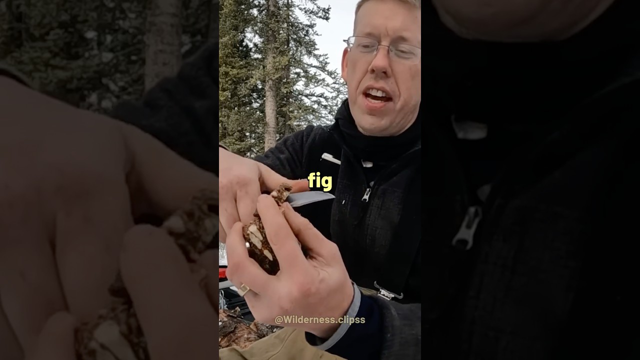 Самое грустное видео про парней на природе&hellip;