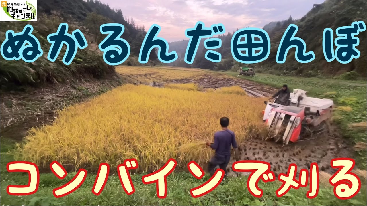 ぬかるんだ田んぼをコンバインで刈りました〜2021年稲刈り＃19（10月9日）