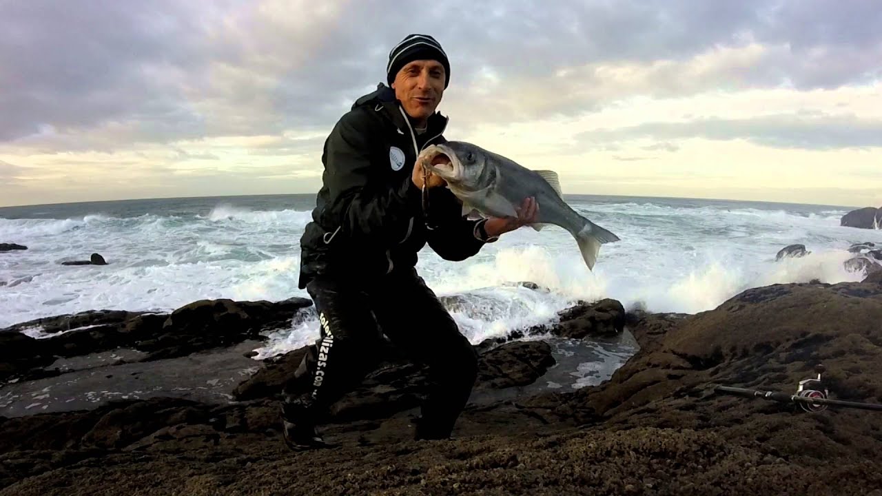 Robalo pescado con chivo de 60 gramos desde costa