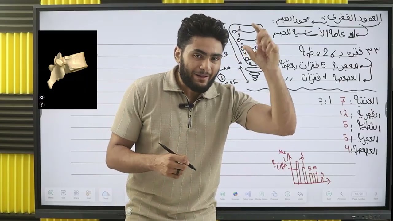 مراجعة الدعامه في الانسان(عمود فقري) الجزء الثاني 2026