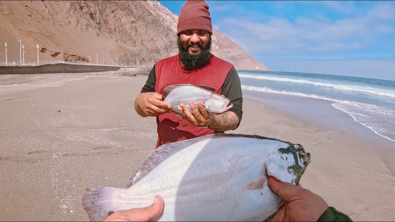 ¡Atrápalos en Playa Corazones! 🎯 Lenguados de 42 cm en Arica 😱 #PescaDeLenguado