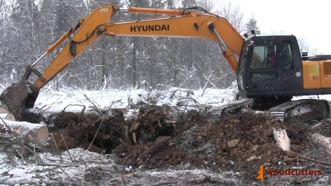 Woodcutters ― Удаление пней