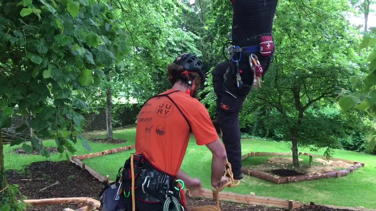 D&eacute;monstration pour monter dans un arbre et se d&eacute;placer
