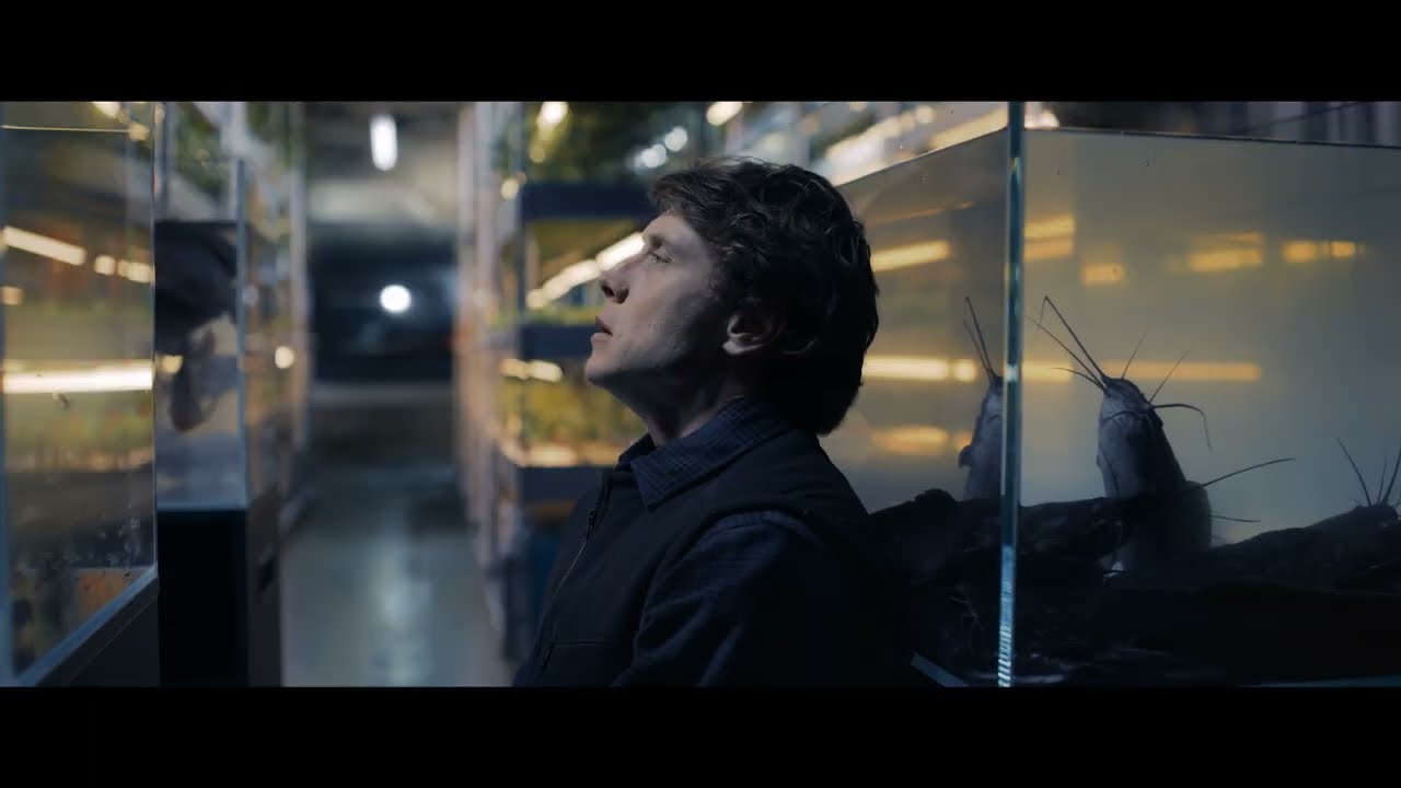 The End | Tr&aacute;iler espa&ntilde;ol VE | Avalon
