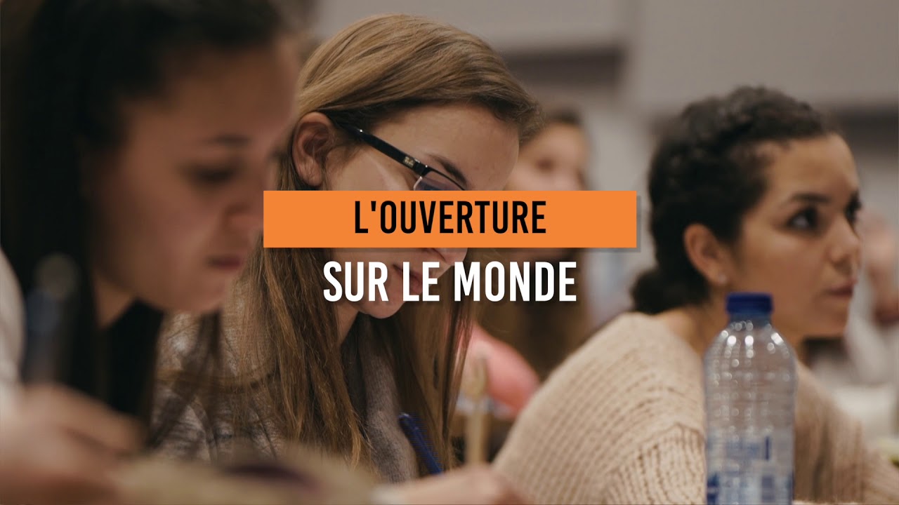 Le  bachelier en droit à l'EPHEC