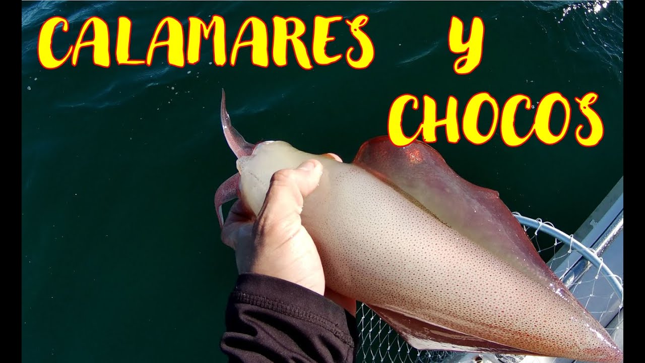 PESCA de CHOCOS (Sepias) y CALAMARES🦑en HUELVA en 🌬INVIERNO🌊 EGGING desde EMBARCACIÓN🛥