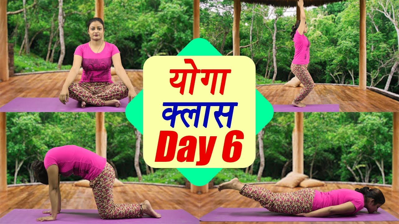 Yoga Class Day 6 | मार्जरासन, कुर्सी आसन, शलभासन । सीखें योग, 25 Day Course। boldsky