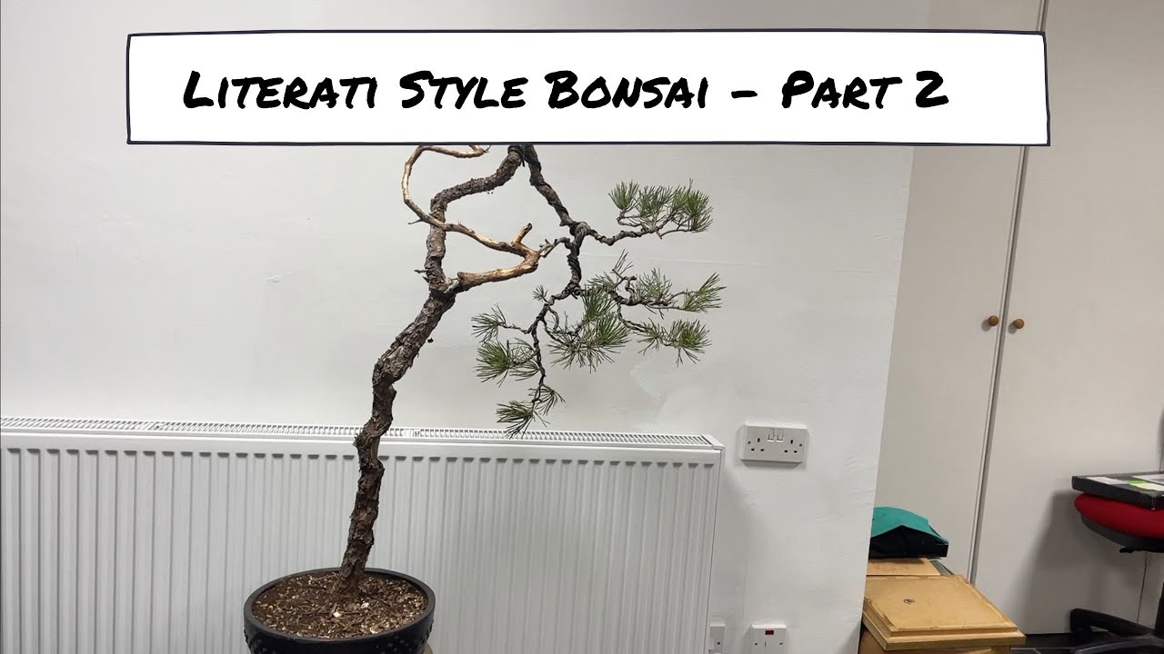 Styling a Literati Pine