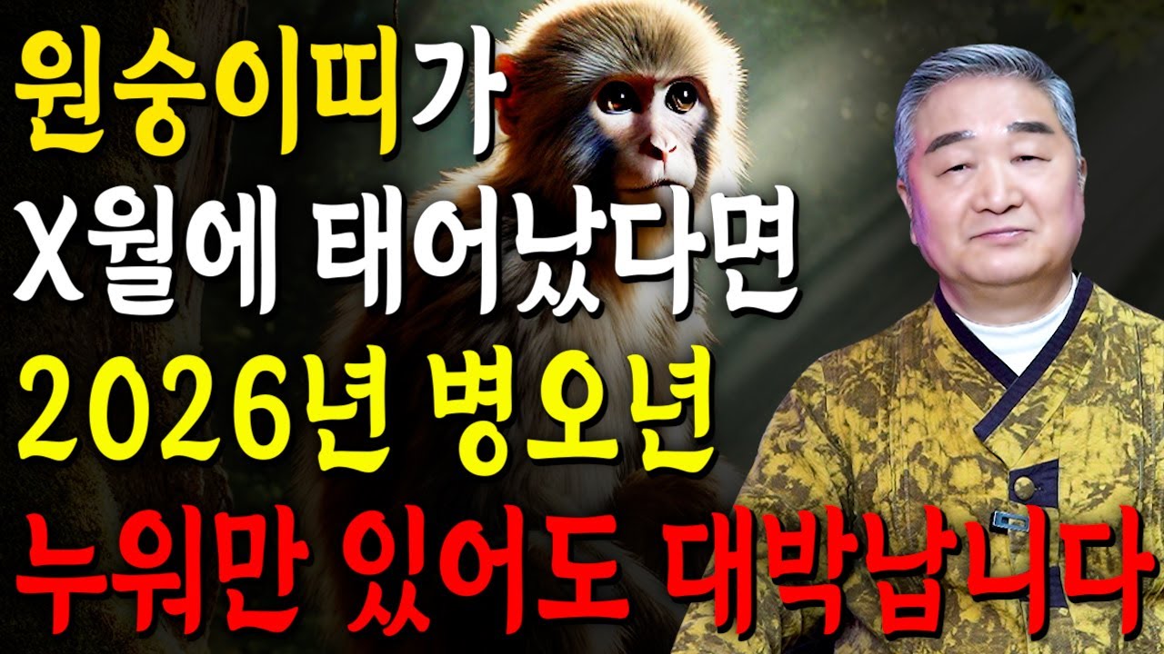 [원숭이띠운세] 원숭이띠 생일이 X월이라면 2026년에 100% 대박납니다 천운이 내려왔다?! 모든운이 초대박입니다! 56년생 68년생 80년생 92년생 원숭이띠운세
