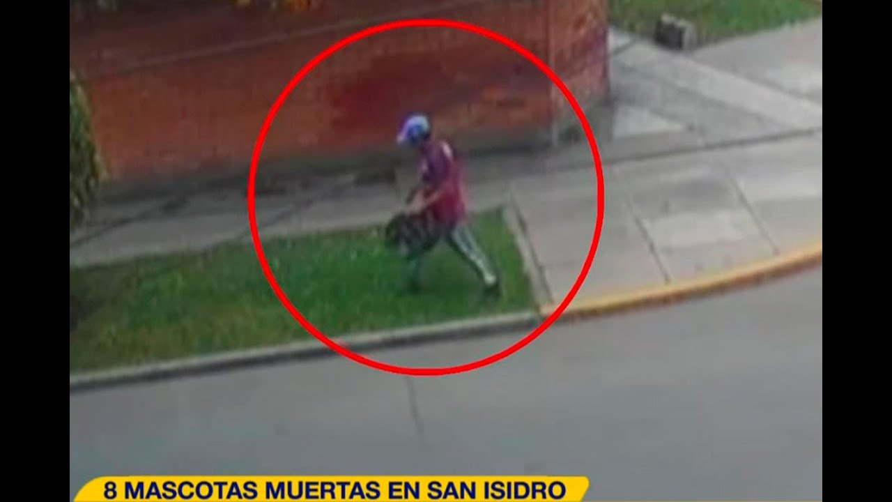 Jardinero habría sido el causante de la muerte de 8 perritos en San Isidro