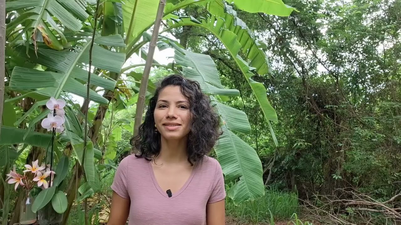 Por que Pessoas Intuitivas se Sentem Tão Sozinhas?