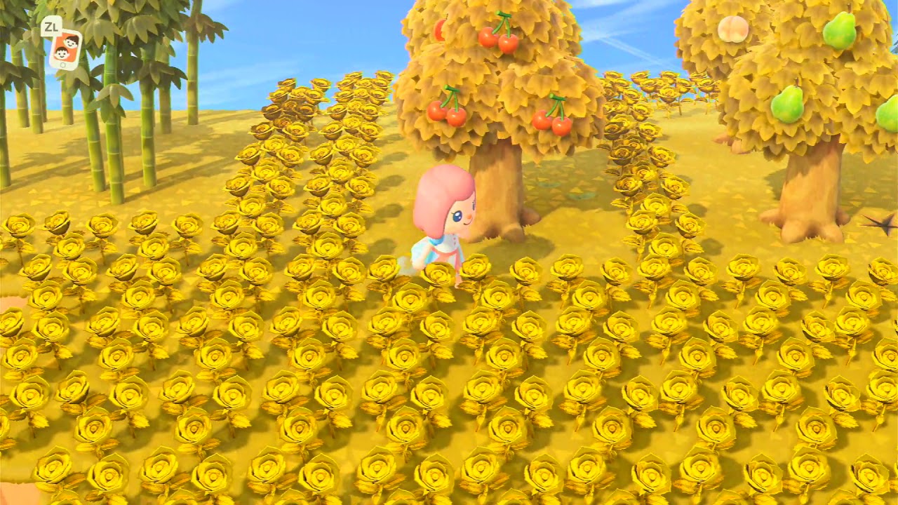 animal crossing new horizon gold rose island update abd for gest to withdrawal and deposit