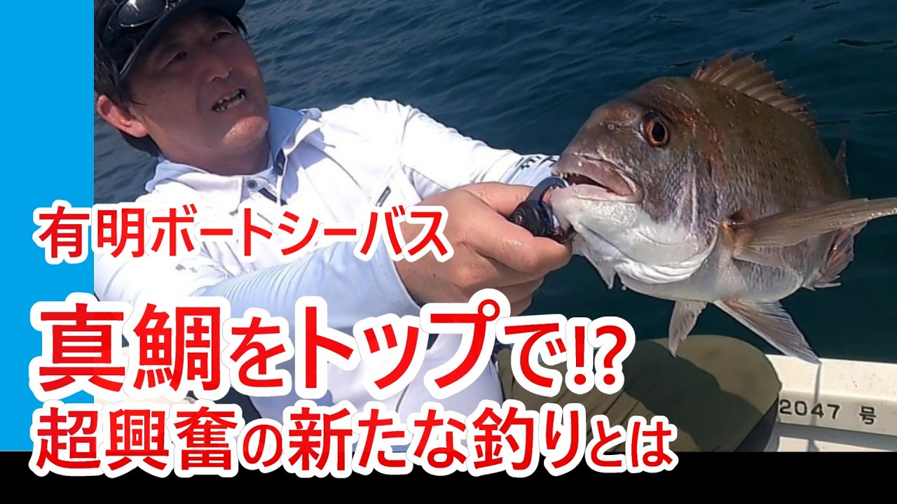 【トップでマダイの衝撃!】天草の真夏のトップウォーターゲームの真実【有明ボートシーバス】