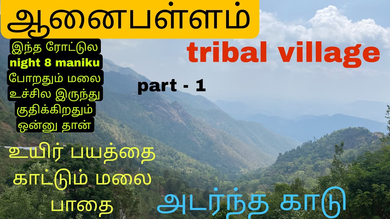 அடர்ந்த காட்டில் ஒரு பழங்குடியினர் கிராமம்|ஆபத்தான சாலை|elephant village|hidden village in ooty