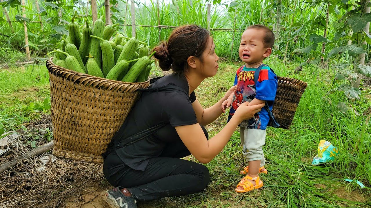Harvest the luffa garden to sell at the market - cut your child's hair - complete the duck coop