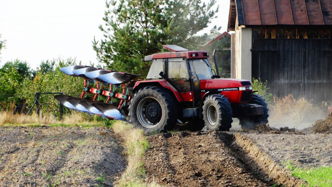 Orka o zachodzie słońca || Case Maxxum 5130, Kverneland VD100