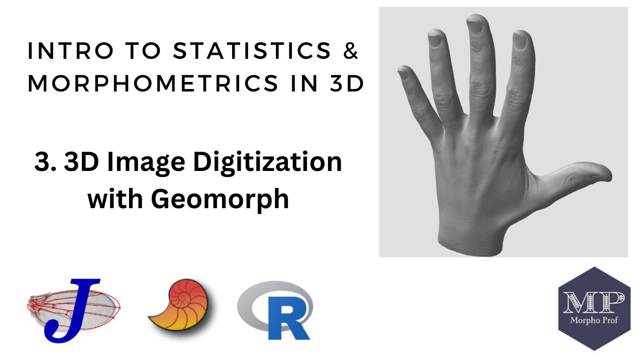 3. 3D Landmark Digitization with Geomorph