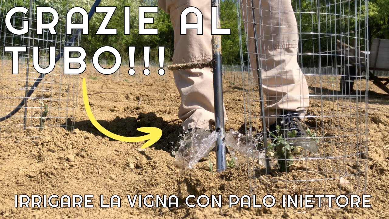 Come innaffio la vigna - Palo Iniettore per irrigazione