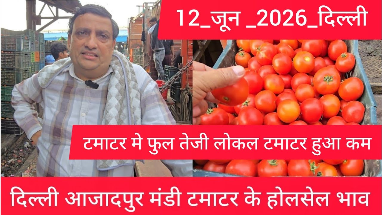 June 12, 2026 दिल्ली 🍅टमाटर के भाव azadpur Delhi mandi today tomato market price #tomatomarket 