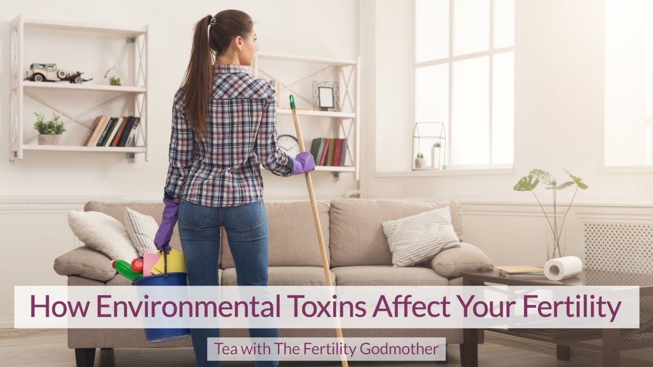 How Environmental Toxins Affect Fertility