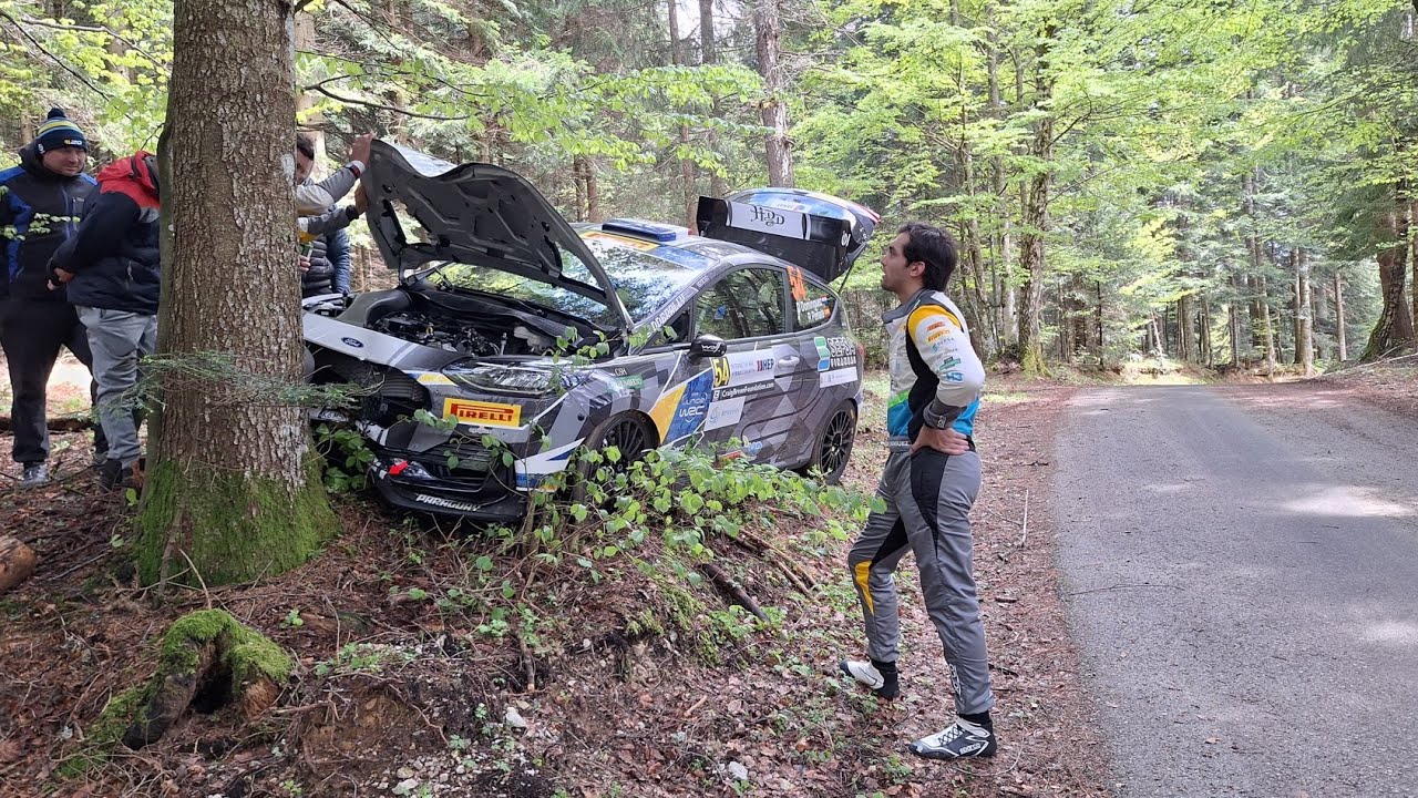 WRC Croatia Rally 2024   Crash, Jump & Mistakes