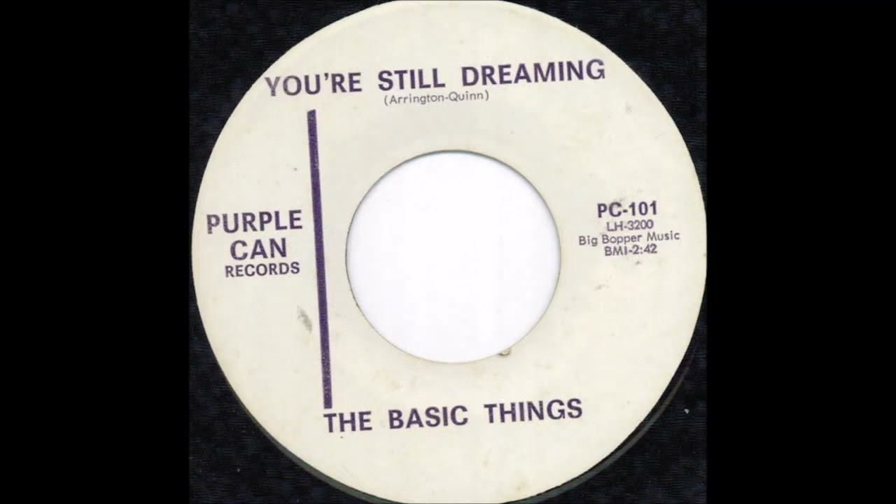 The Basic Things - Ninety-nine and a half / You're still dreaming
