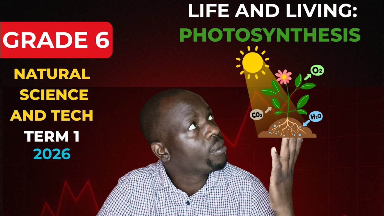 Grade 6 NS & Tech: How Photosynthesis Happens | Simple Explanation | Proficient School