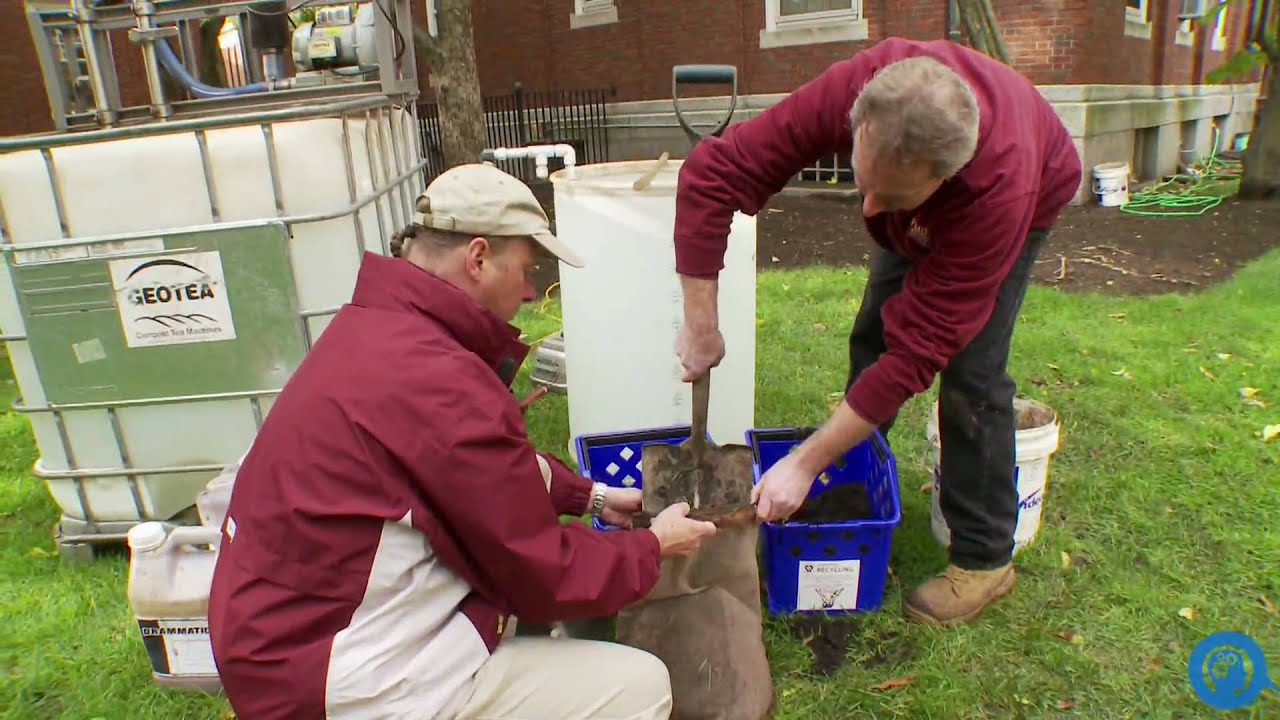 Harvard Compost Tea