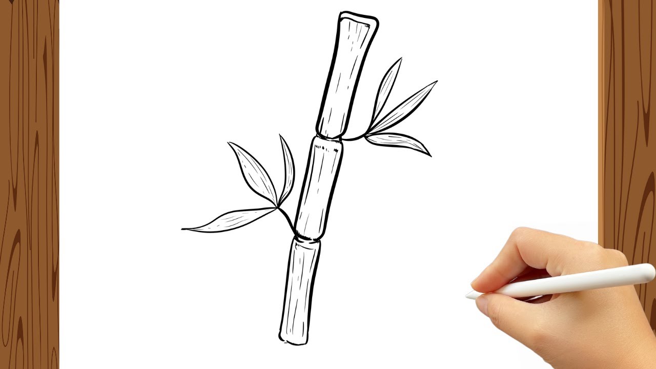 How to Draw Bamboo