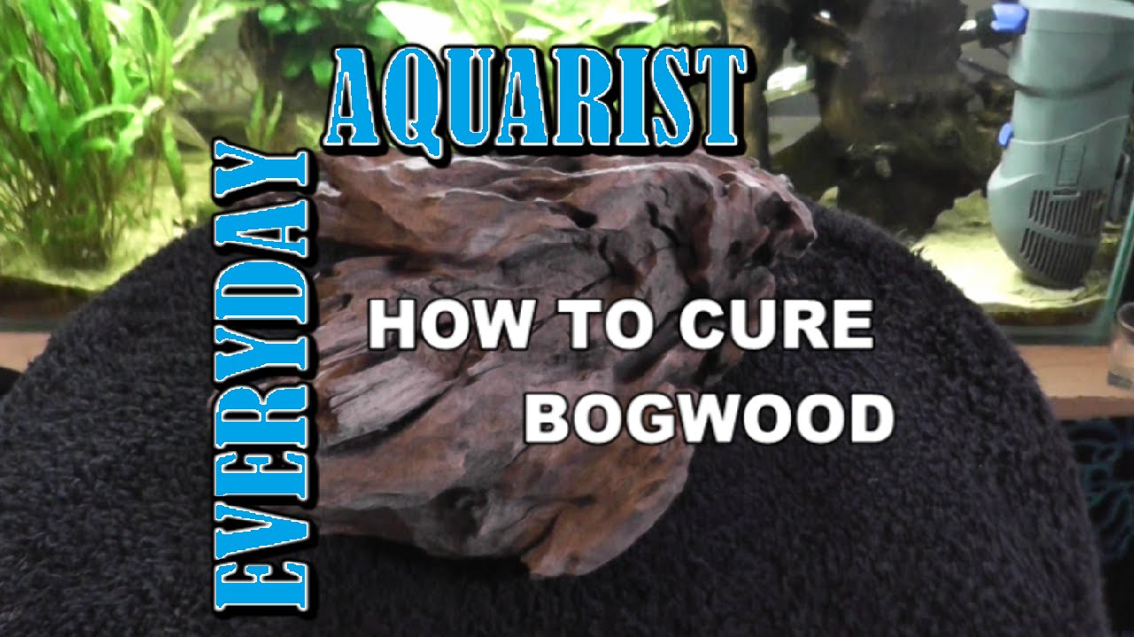 How to Prepare Mopani, Driftwood and Bogwood for Aquariums