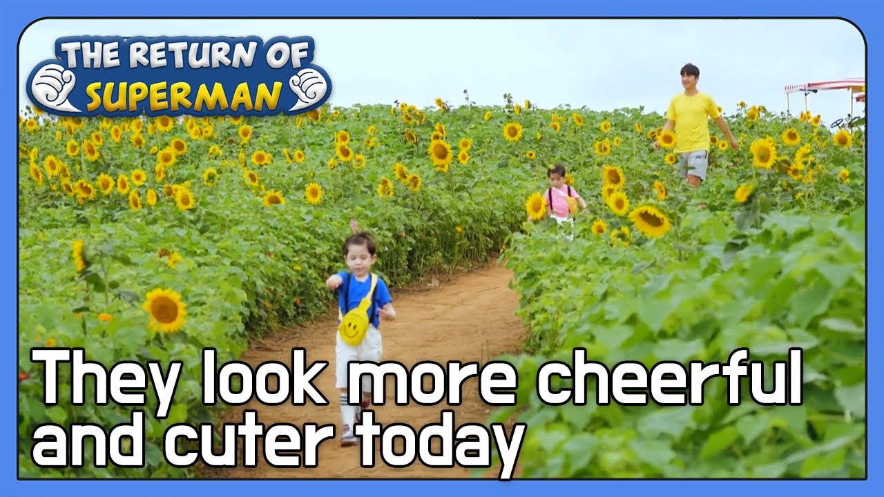 They look more cheerful and cuter today [The Return of Superman : Ep.439-7] | KBS WORLD TV 220724