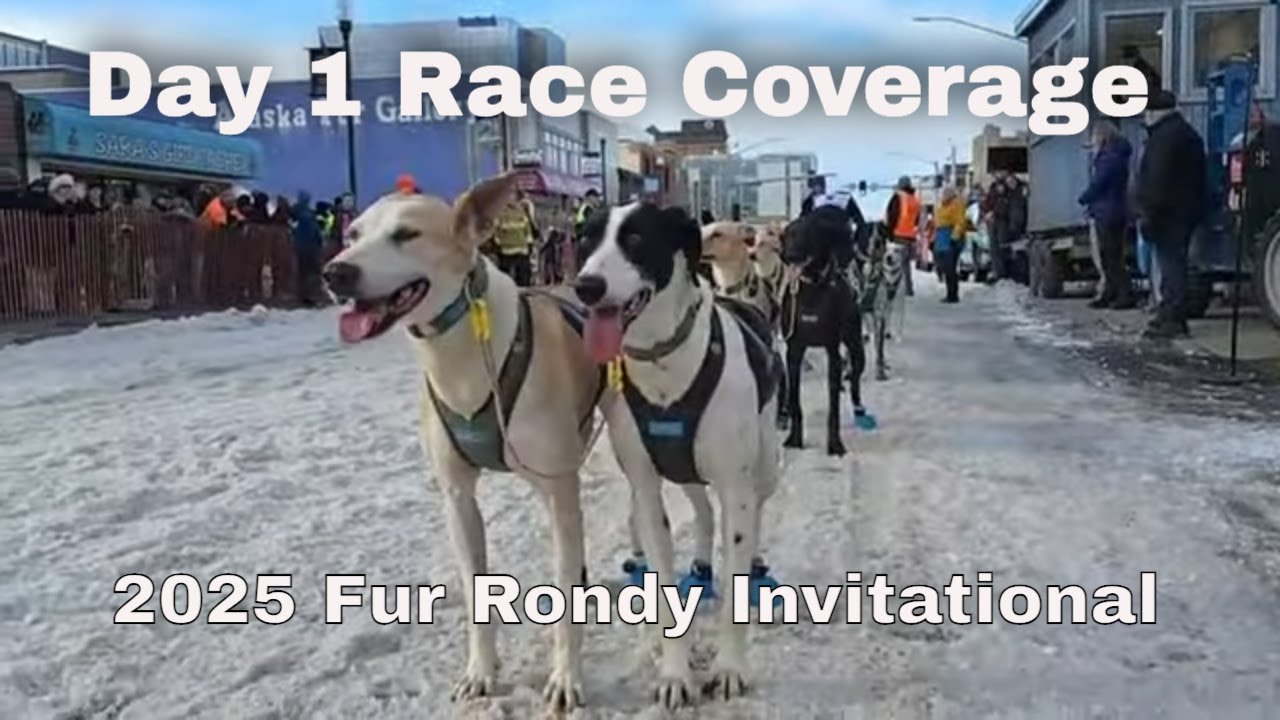 Epic Dog Sled Racing Kicks Off at 2025 Fur Rondy Invitational in Downtown Anchorage Alaska