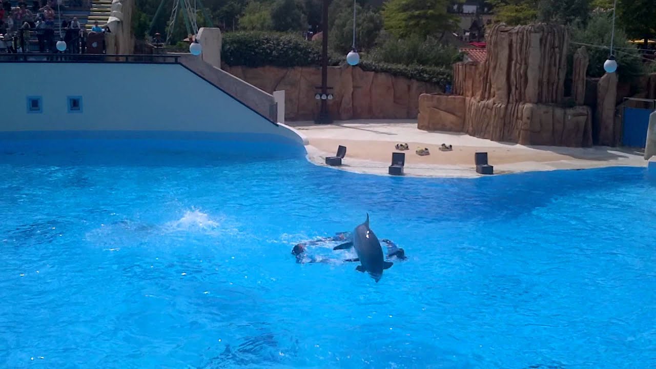 Dolphins @ Parc Asterix (attraction park) near Paris, France