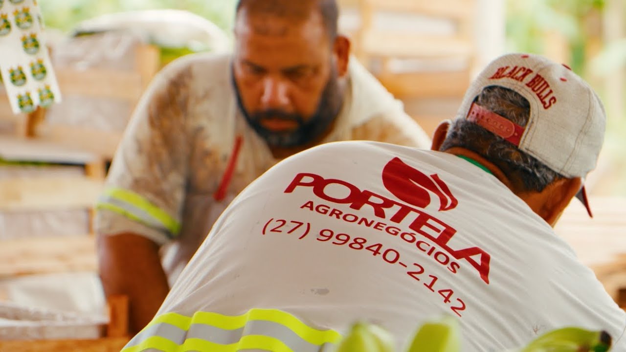 Institucional Grupo Portela | produzido por Mayer Mídia 