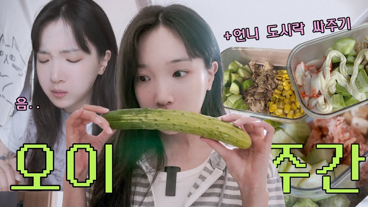 오이 싫어 인간의 3일 동안 오이 먹기 챌린지 (feat. 직장인 간단 도시락) | 고등어 김치찜, 매운갈비찜, 크레페, 맥주는 덤(?)