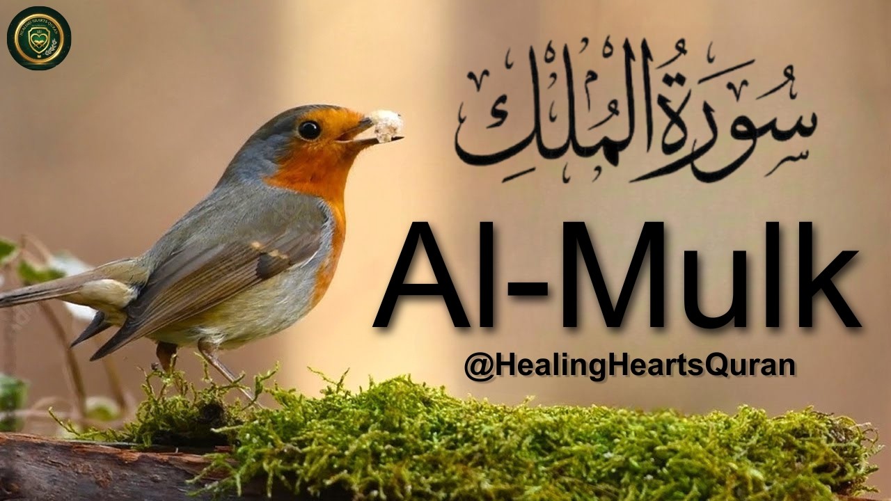 Powerful Heart Soothing Recitation of Surah Al-Mulk | Healing Hearts Quran | #SurahMulk #SleepQuran