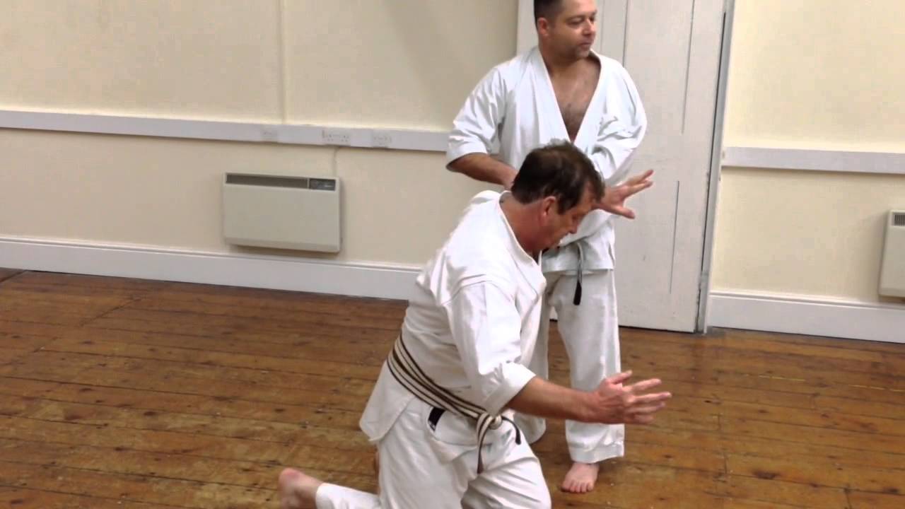 Meikyo Kata - Applications (Bunkai / Oyo)