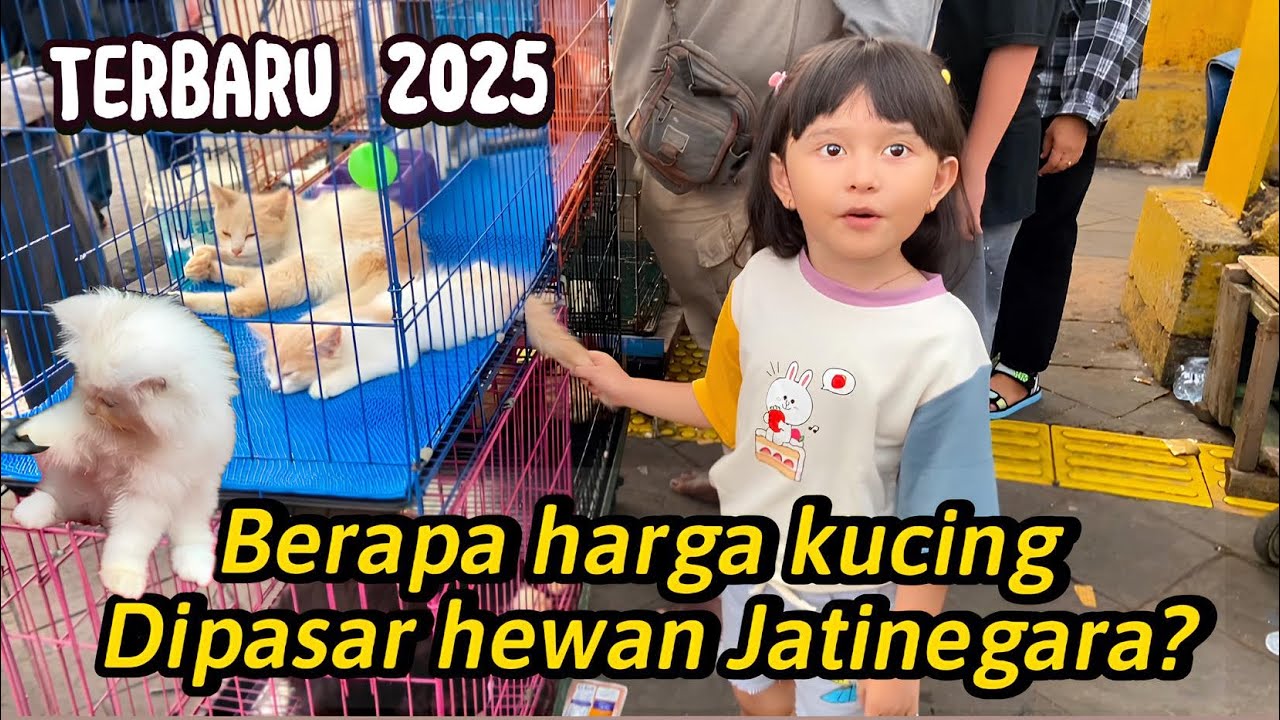 Beli kucing di Pasar Hewan Jatinegara!! Bikin gemess Quinnsha langsung jatuh cinta!😻❤️